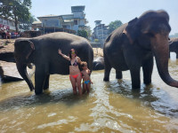/album/fotogaleria-sri-lanka-vy-a-my/sri-lanka-maldivy-zajazd-310-jpg3/